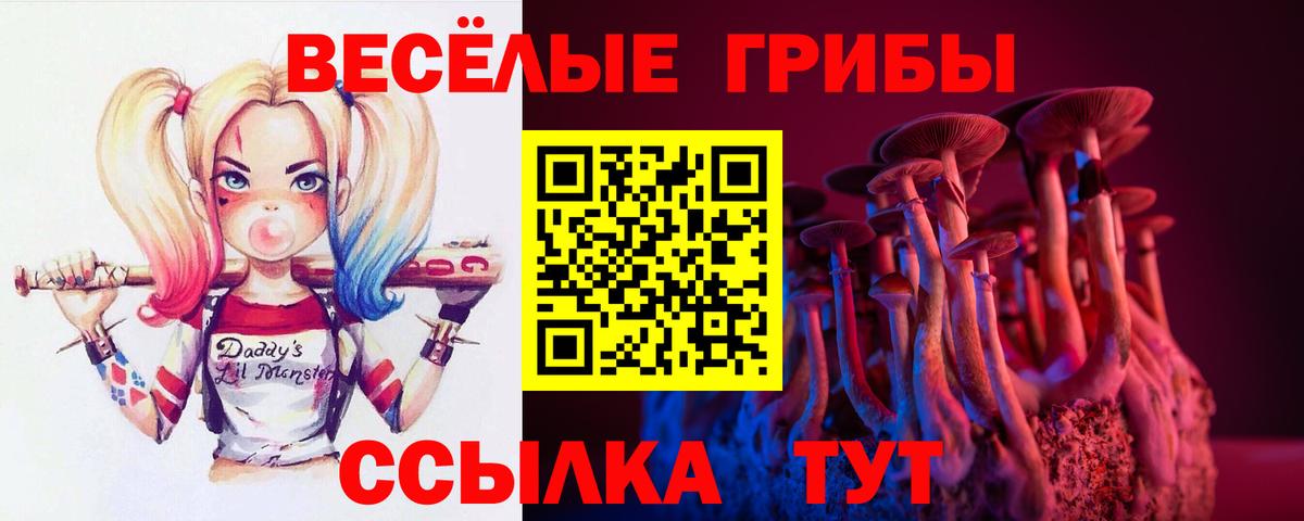 Галлюциногенные грибы прущие грибы  Галлюциногенные грибы мицелий  Вход с VPN  Бутурлиновка 